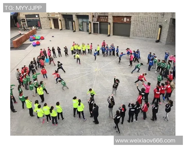 西安网球队实力解析：技术与团队协作的完美结合